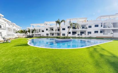 Piscina de Casa o xalet en venda en Torrevieja amb Terrassa i Piscina