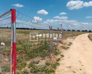 Industrial land for sale in Casarrubuelos