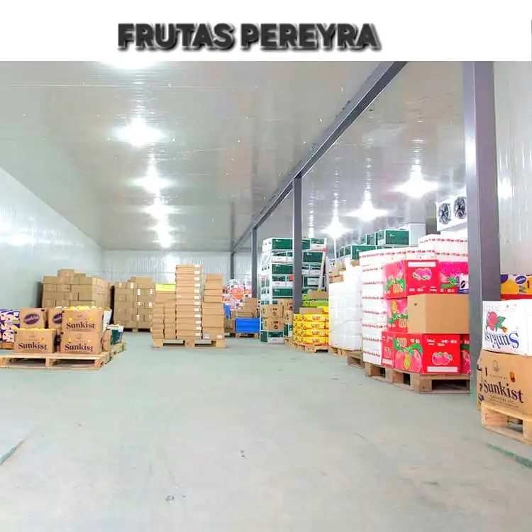 Nave industrial con ascensore in vendita a Parque Ondarreta - Urtinsa, imagen 2
