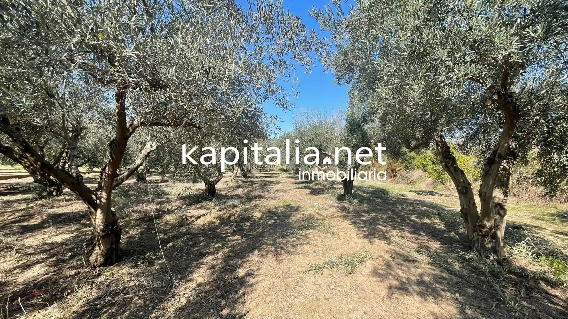 Terreno en venta en Vallada