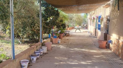 Foto 5 de Casa o chalet en venta en Hellín, Albacete