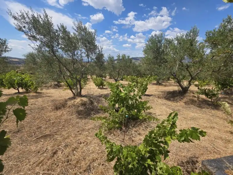 Terreni e lotti in vendita a Miralvalle - Av. Virgen del Puerto - La Data, imagen 15