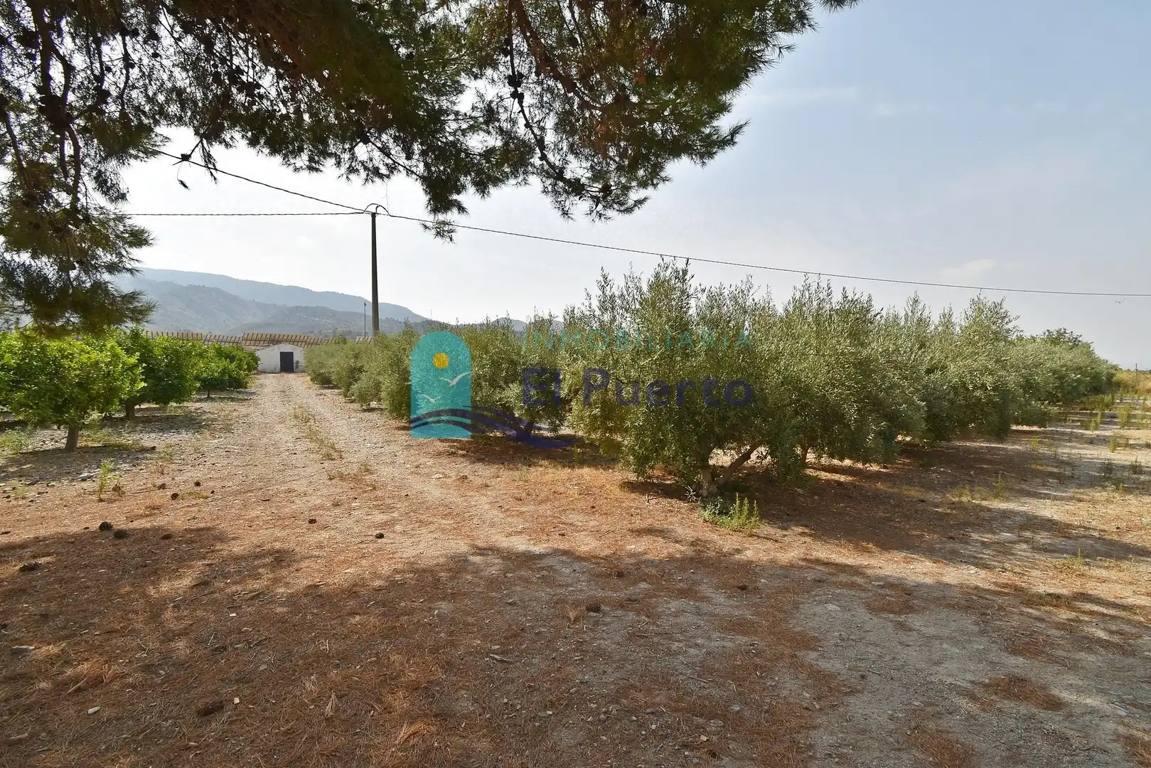 Casa o xalet en venda en Alhama de Murcia amb Jardí privat, Terrassa i Moblat