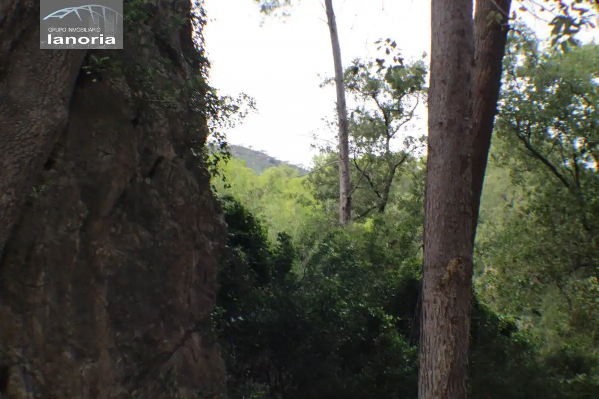 Terreno residencial en venta en Carrer BARRANCO DEL AGUA 32, imagen 36
