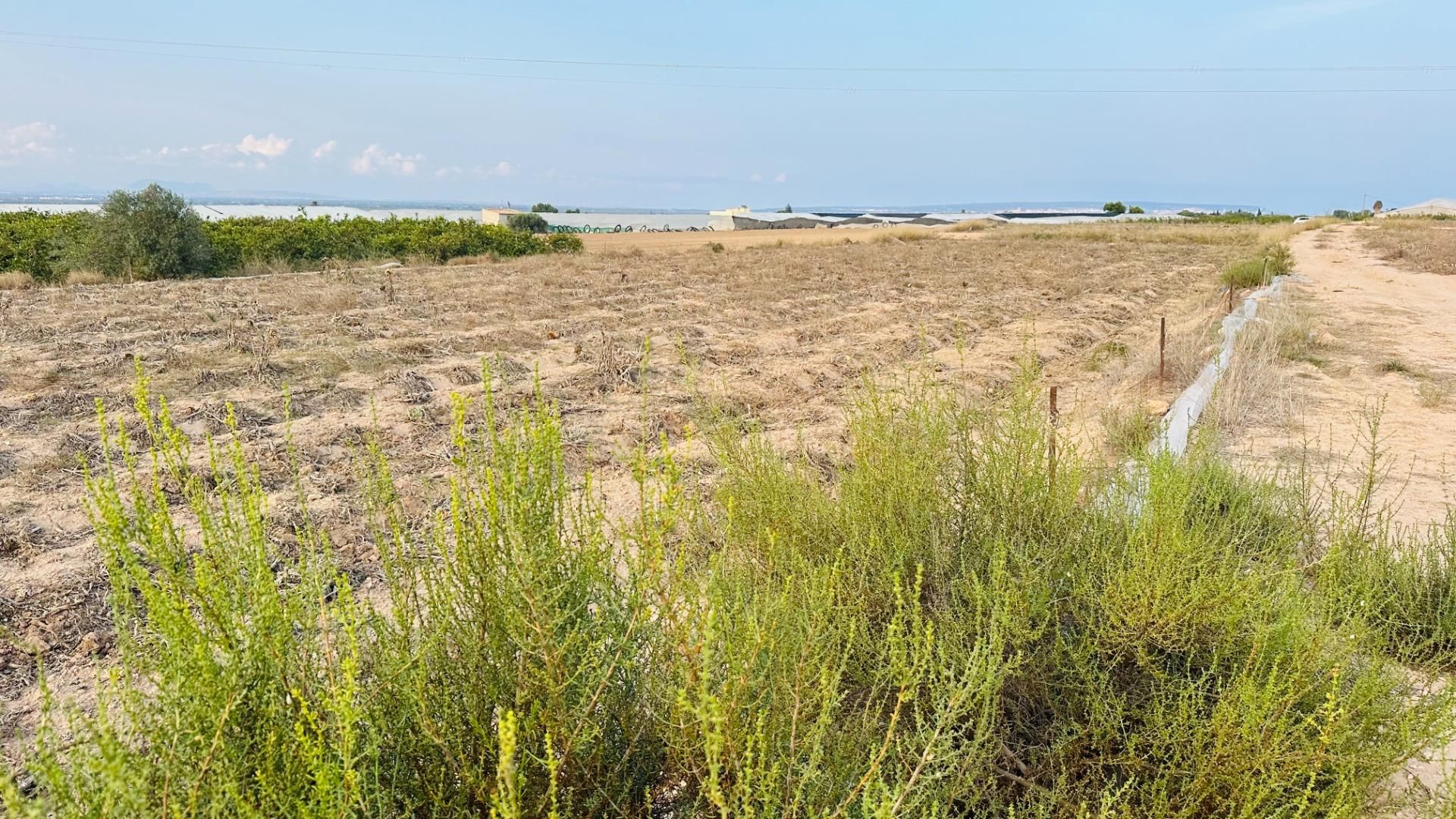 Residencial en venda en Elche / Elx