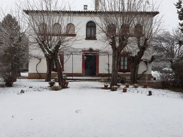 Exterior view of House or chalet for sale in Ciudad Real Capital  with Private garden and Terrace