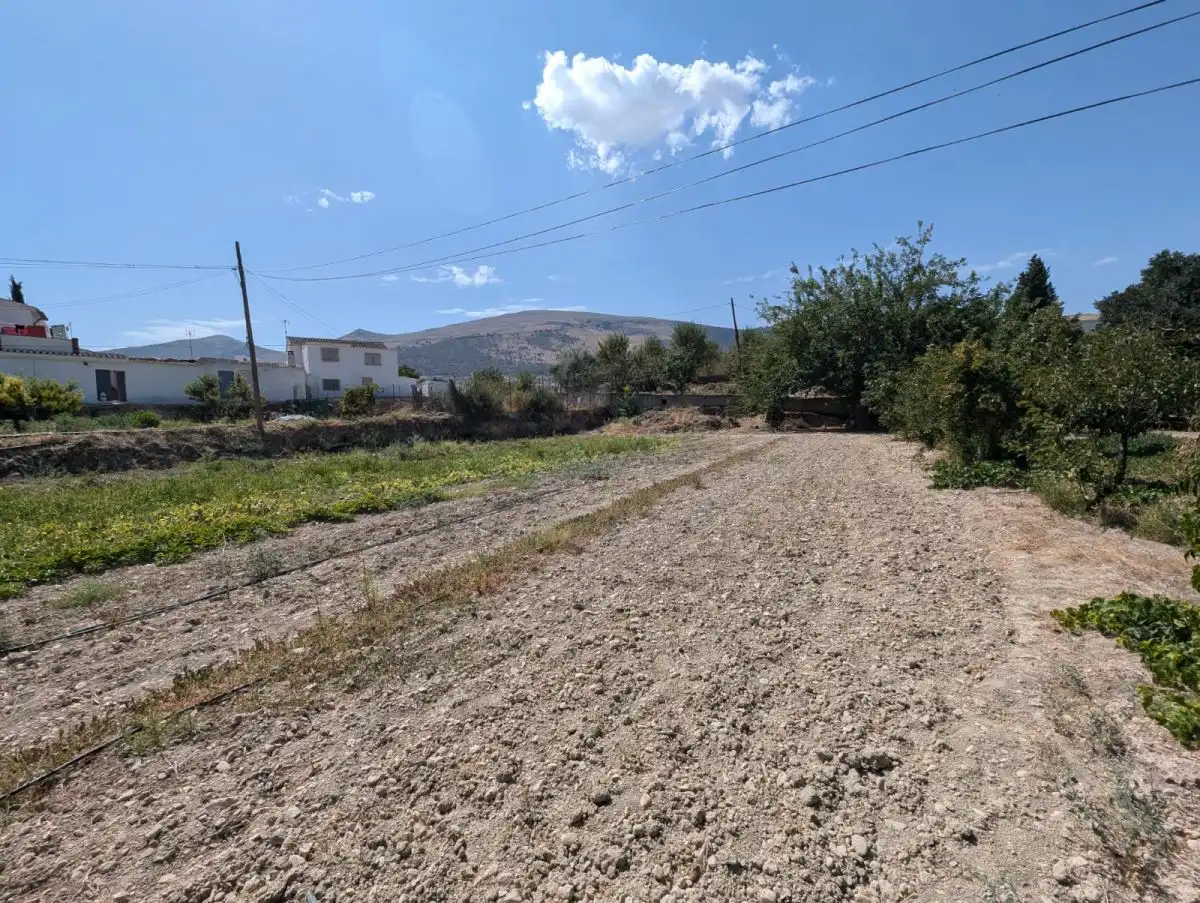 Terreni e lotti in vendita a Loja, imagen 9