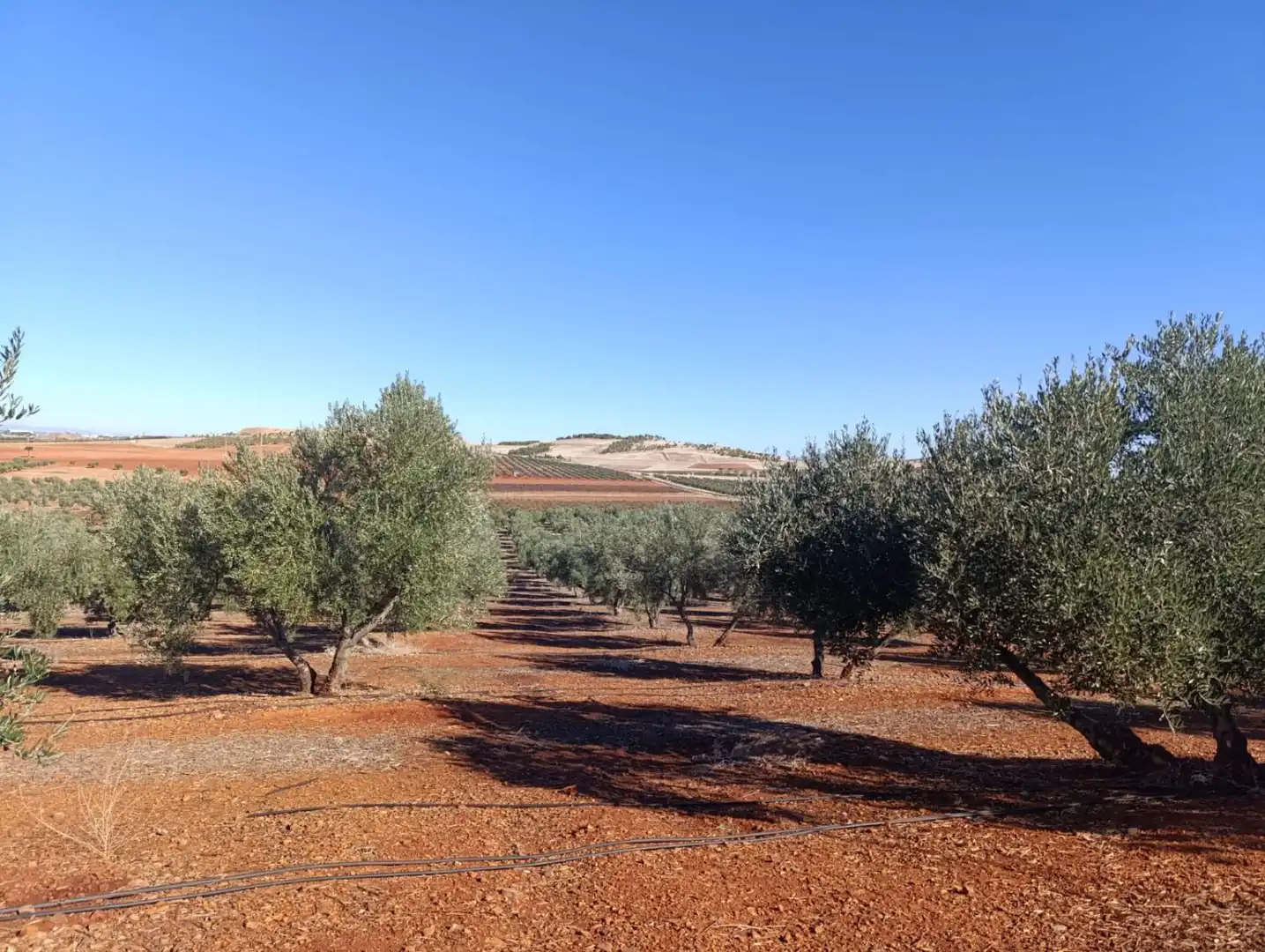 Casa rústica en venda a Valdepeñas, imagen 31