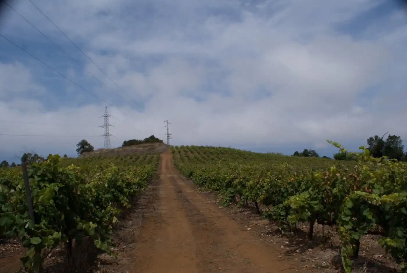 Vista exterior de Terreny en venda en El Sauzal