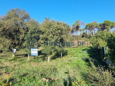 Terrenos y solares en venta en Catalunya 122