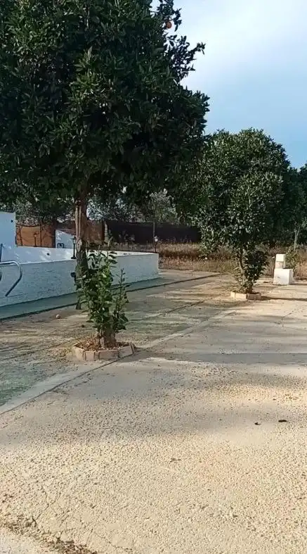 Casa rústica amb piscina en venda a Gibraleón, imagen 28