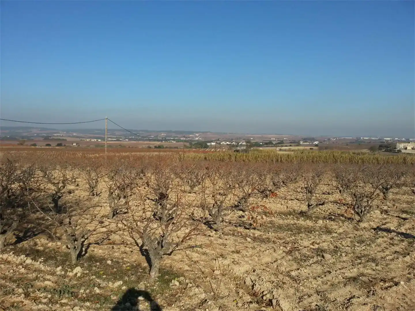 Finca rústica en venda en Santa Fe del Penedès