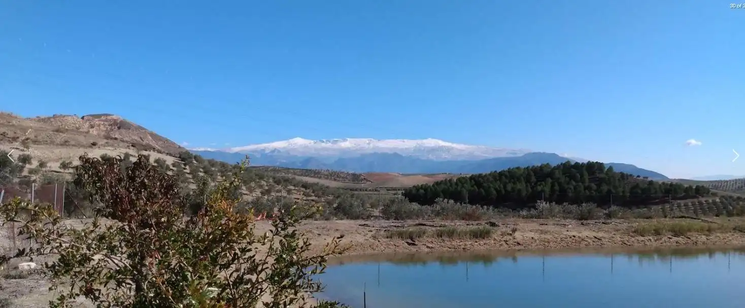 Vista exterior de Finca rústica en venta en La Malahá