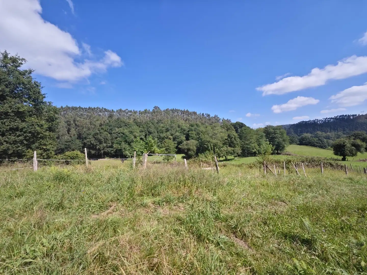 Residential land for sale in Mazcuerras, imagen 7