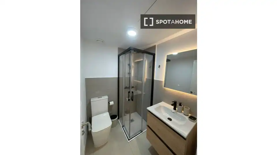 Bathroom of Flat for rent in Madrid  with Air Conditioner, Heating and Furnished