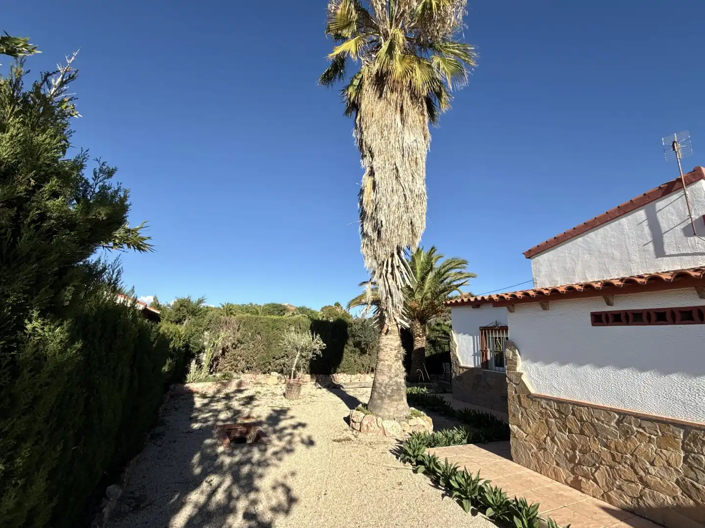 Jardín de Casa o chalet en venta en Novelda con Calefacción, Terraza y Piscina