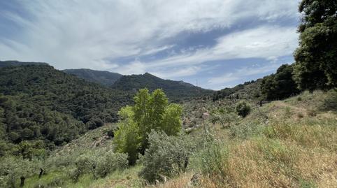 Foto 4 de Casa o xalet en venda a El Burgo, Málaga