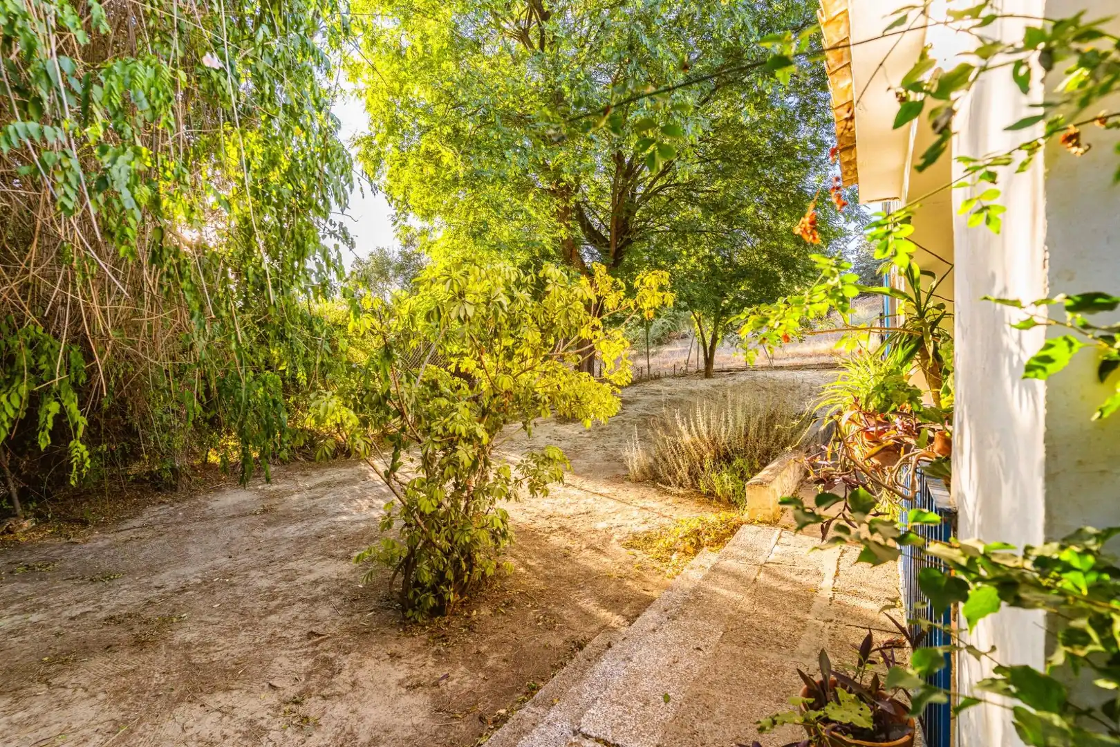 Garden of Houses for sale in Jerez de la Frontera  with Private garden