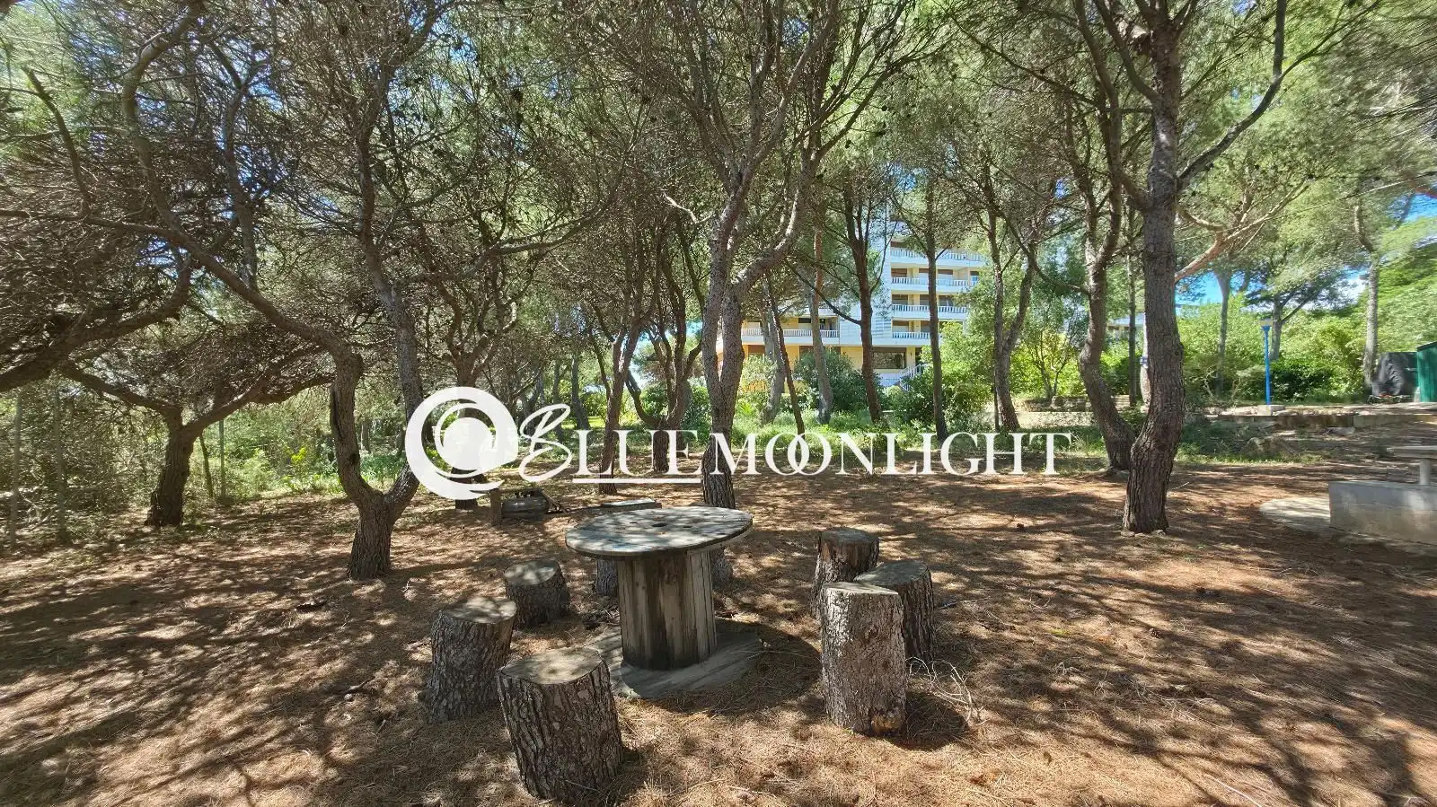 Vista exterior de Pis en venda en Peñíscola / Peníscola amb Aire condicionat, Calefacció i Terrassa