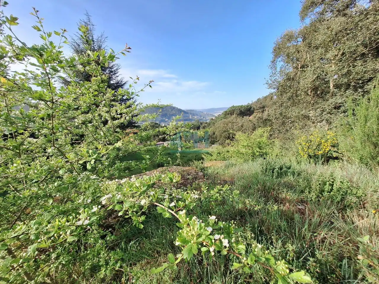 Terreni e lotti in vendita a O Pereiro de Aguiar, imagen 14