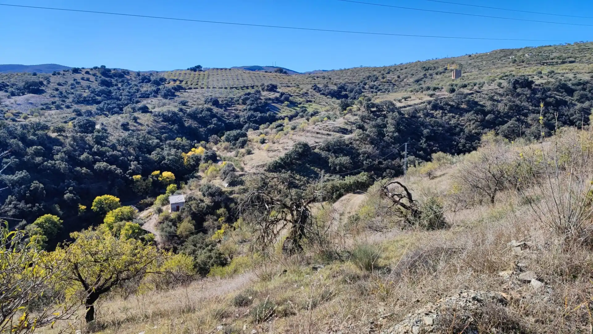 Land for sale in Alcudia de Monteagud