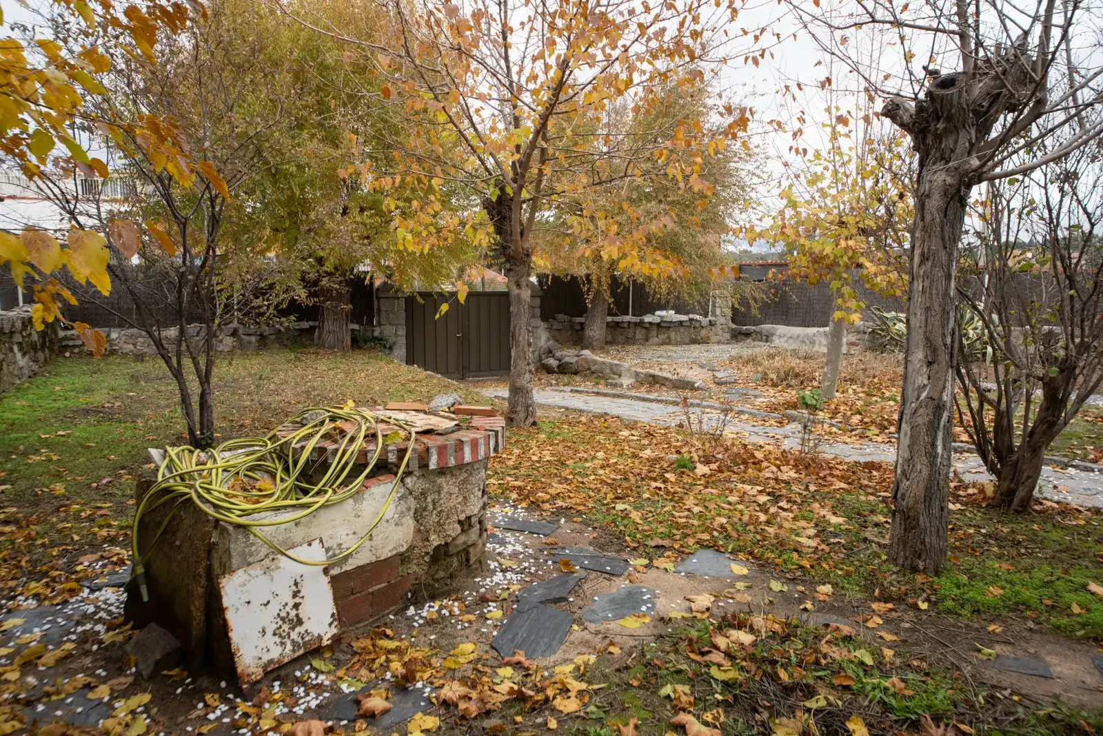 Vista exterior de Casa o xalet en venda en Galapagar amb Jardí privat i Terrassa