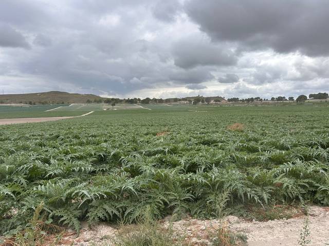 Terreno en Venta en Alberca