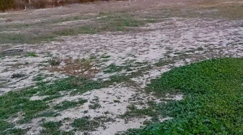 Foto 2 de Finca rústica en venta en Pedanías - Extrarradio, Albacete Capital