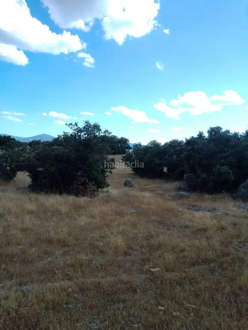 Terreno rustico in vendita a Calle Remiendos 1, imagen 4