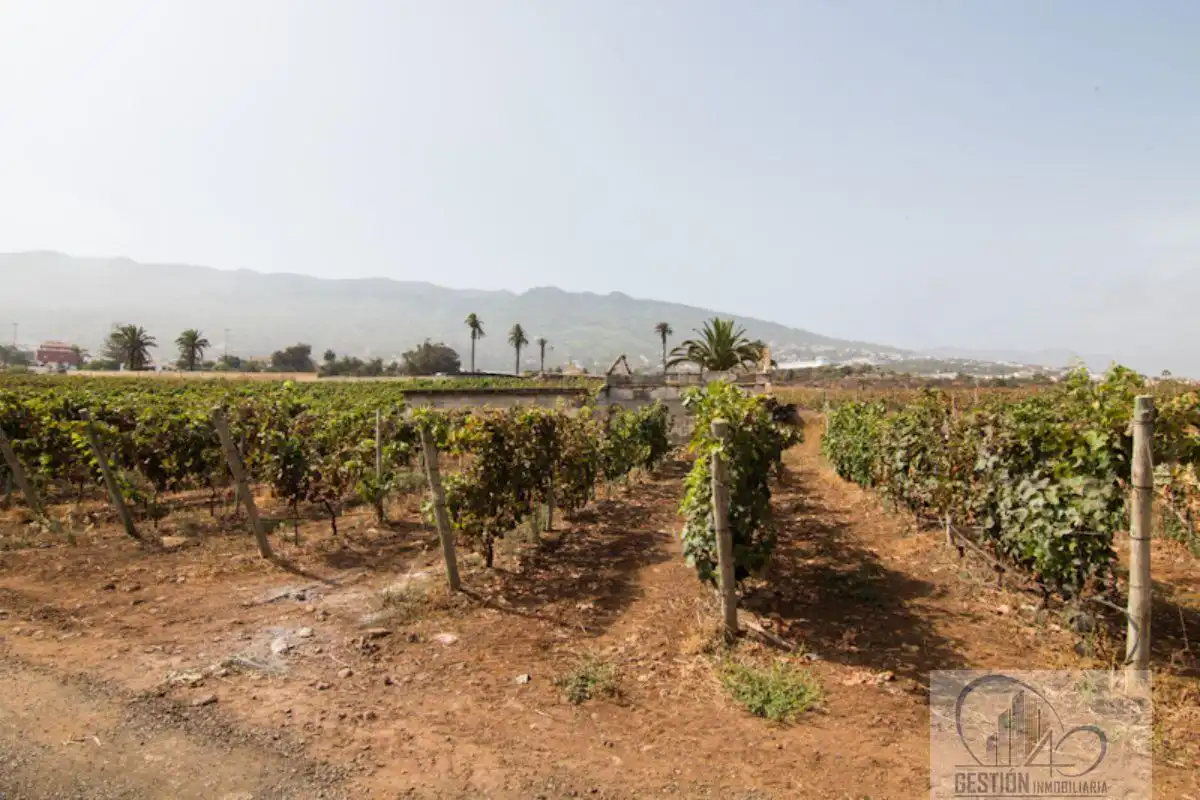 Finca rústica en venda en Santa Úrsula amb Terrassa i Balcó