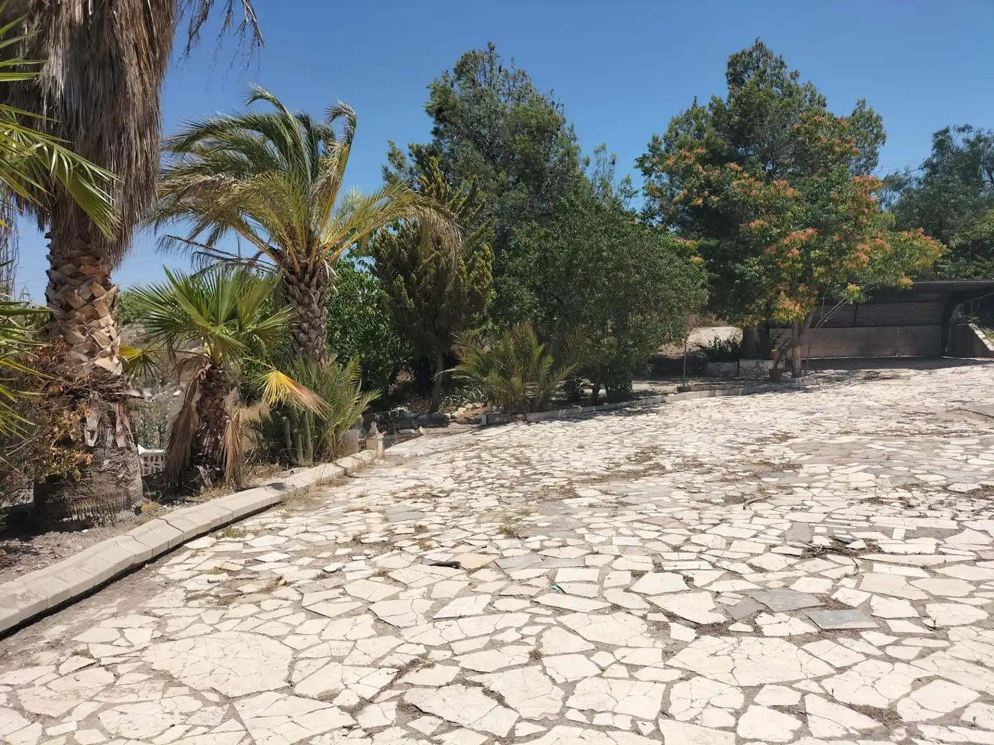 Vista exterior de Casa o chalet en venta en Sax con Jardín privado, Terraza y Trastero