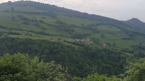 Finca urbana, immagine 3