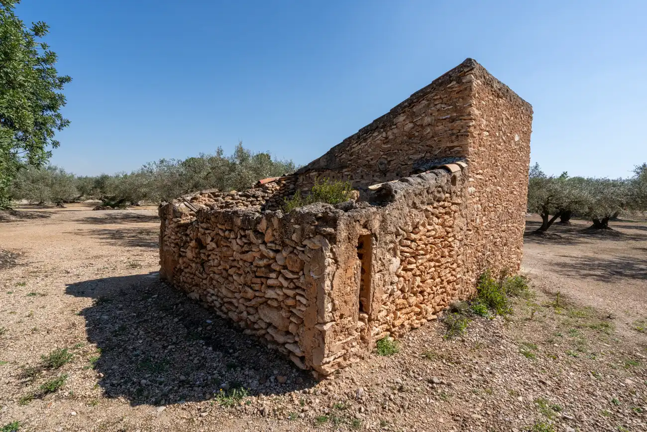 Terreno rustico in vendita a Camí Colomar 14, imagen 2