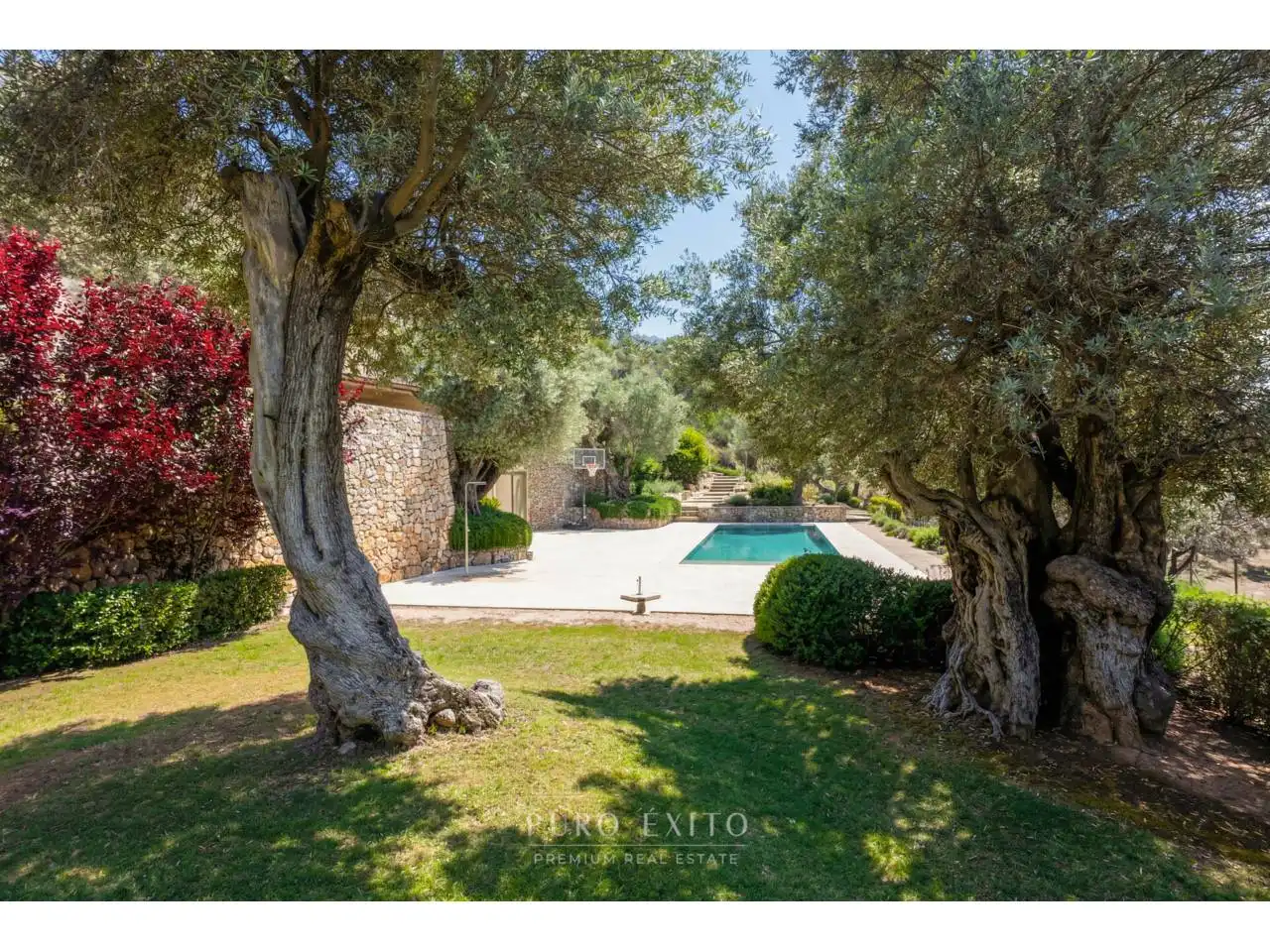 Garden of Houses for sale in Estellencs  with Air Conditioner, Heating and Private garden