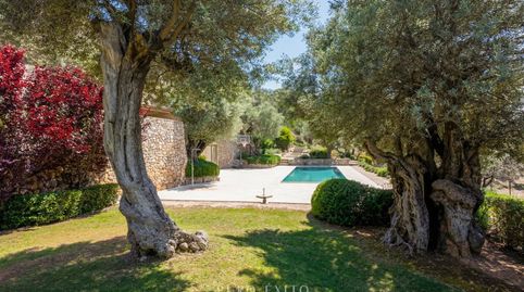 Photo 5 of Houses for sale in Carretera Ds Carretera a Palma 271 Polígono 3 Serr, Estellencs, Illes Balears
