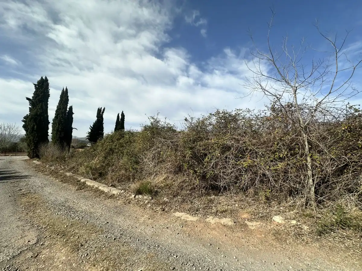 Terreno residencial en venta en Algímia de Alfara, imagen 10