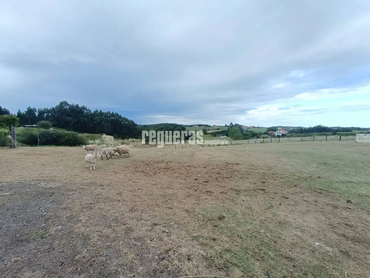 Wohnbaugrundstück zum Verkauf in Romadonga a Salines, imagen 5