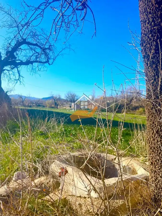 Lands and plots for sale in Vélez-Blanco, imagen 8