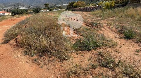 Foto 4 de Terreny en venda a Olivarillo Artero, Los Tablones - La Garnatilla, Motril