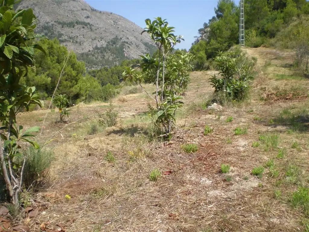 Terreno en venta en Callosa d'en Sarrià