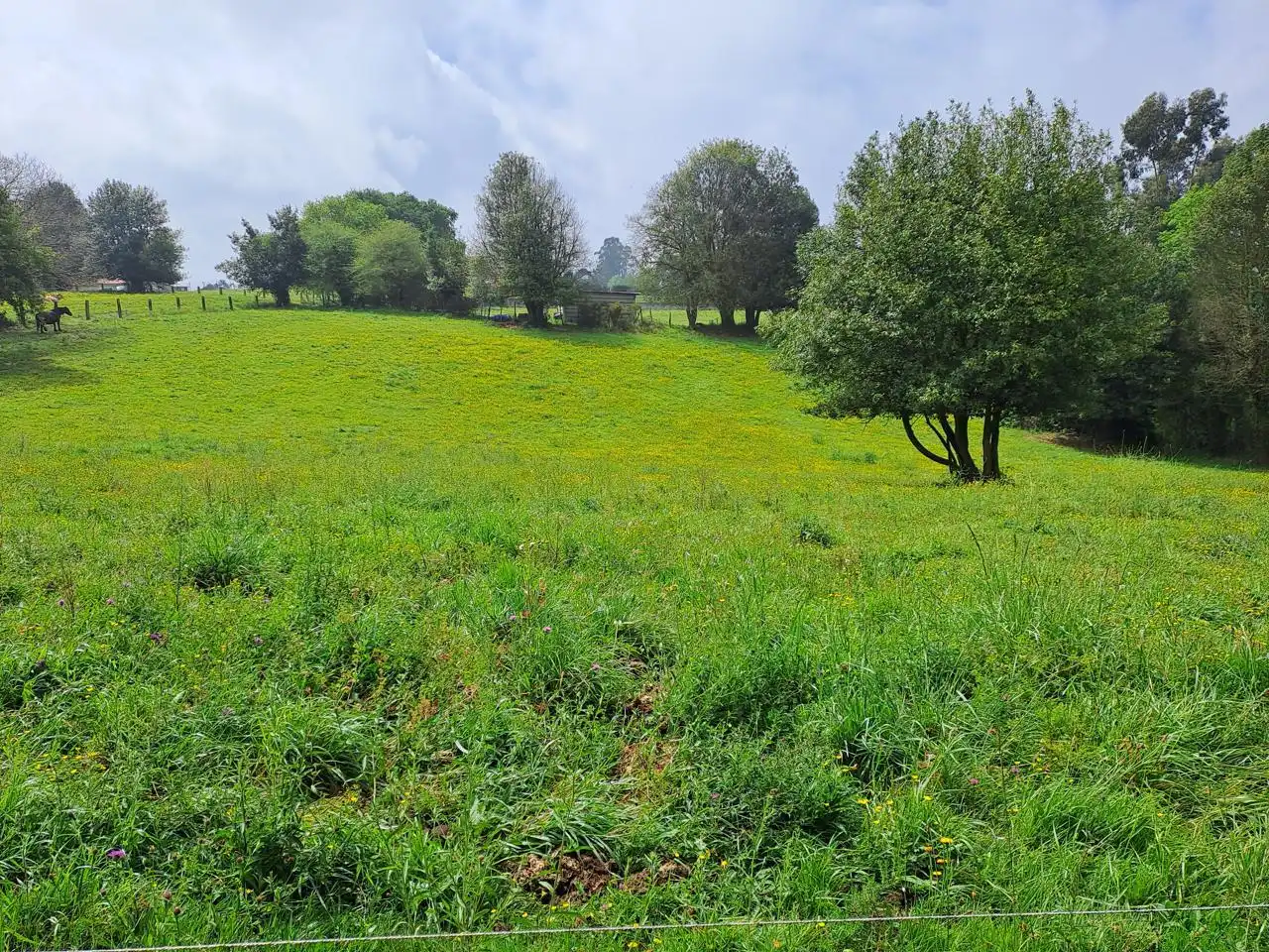 Grundstücke und Bauplätze zum Verkauf in La Barganiza, imagen 26