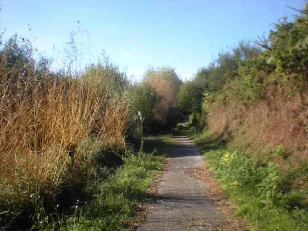 Terreno rustico in vendita a TOMBO, imagen 5
