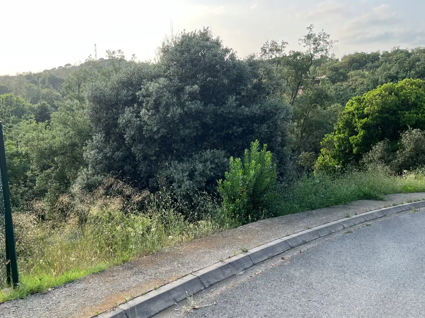Terrain résidentiel à vendre à Carrer de l'Alt Urgell 1956, imagen 6