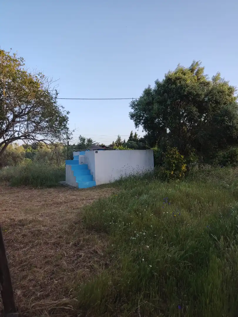 Country homes for rent in Vejer