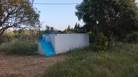 Foto 4 de Finca rústica de alquiler en Vejer, Cádiz