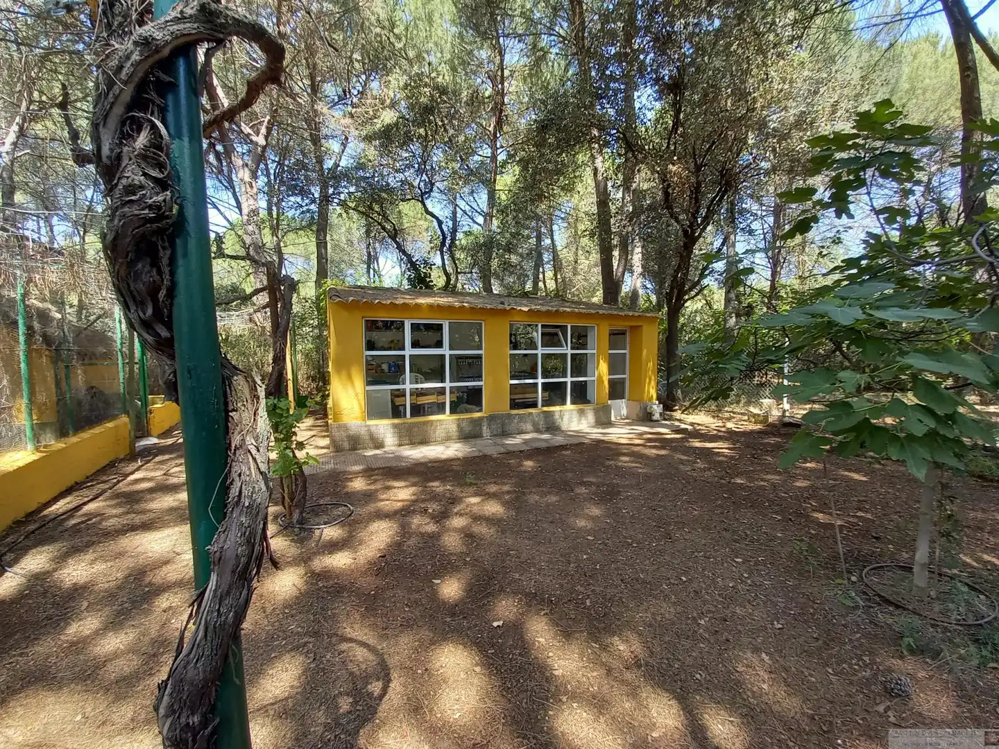 Chalet con piscina en venta en Motilleja, imagen 24