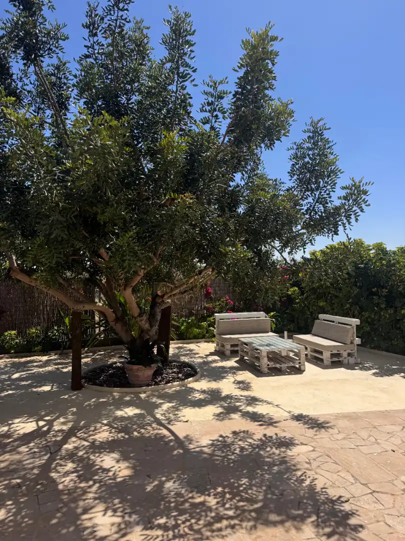 Houses for rent in Pueblo