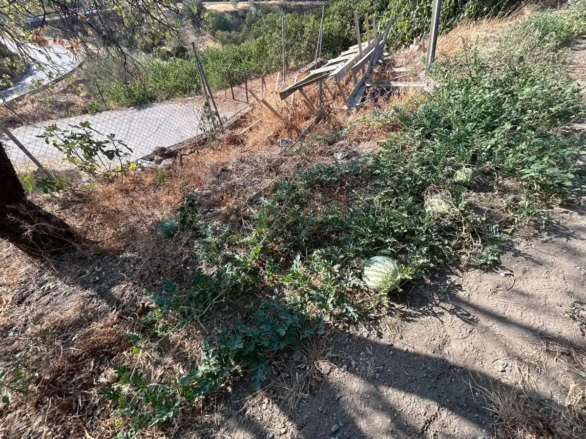 Casa o xalet en venda en Álora amb Calefacció, Terrassa i Traster
