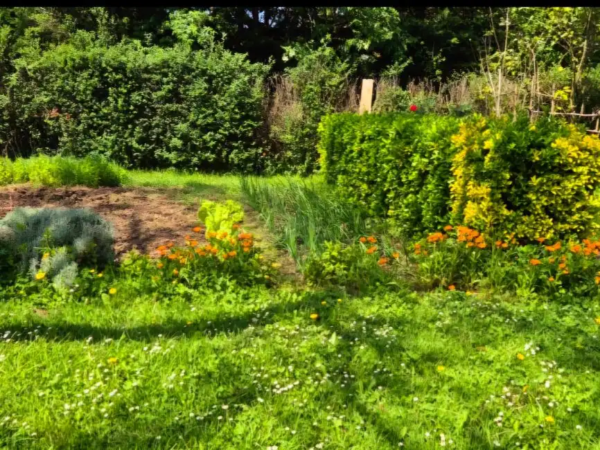 Garden of Land for sale in Zierbena