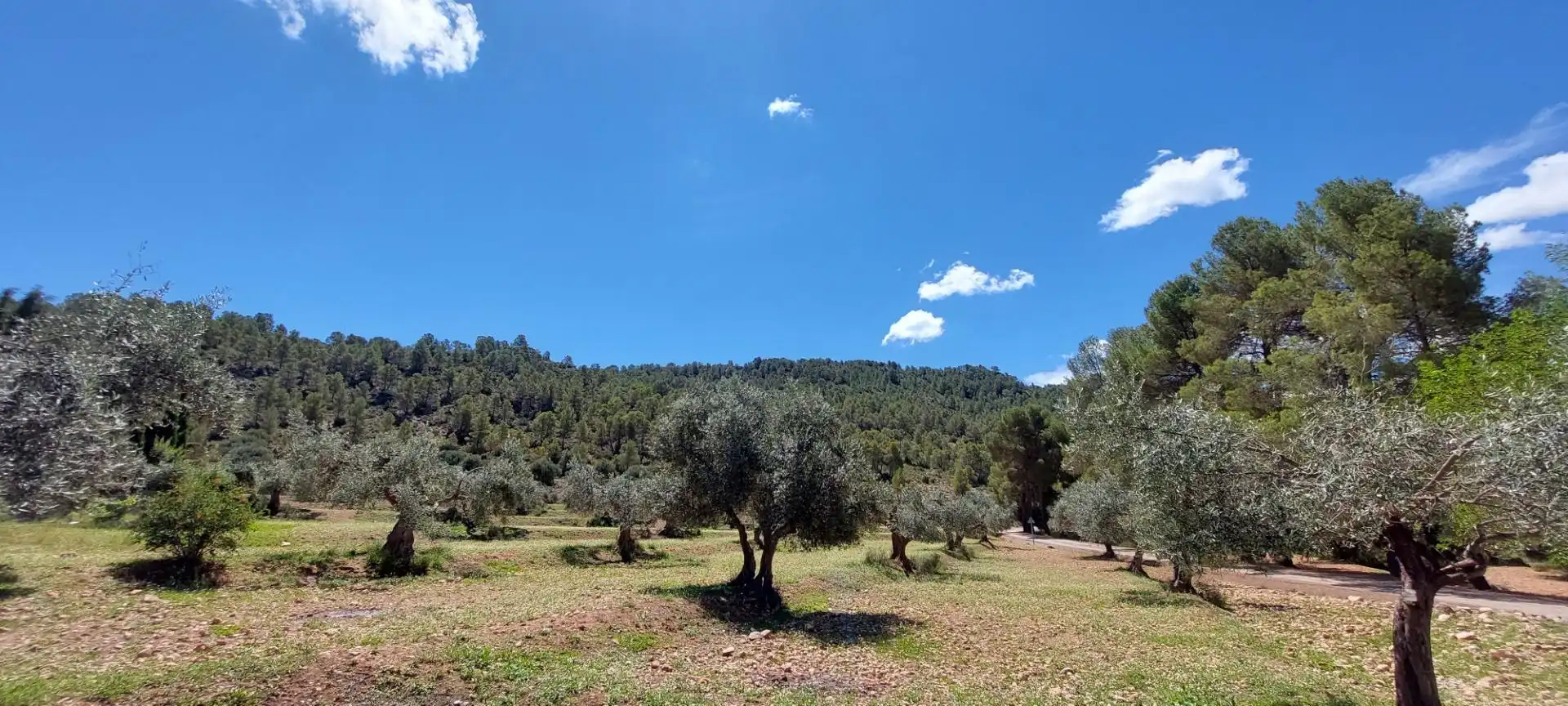 Finca rústica en venta en Nerpio con Jardín privado, Terraza y Amueblado